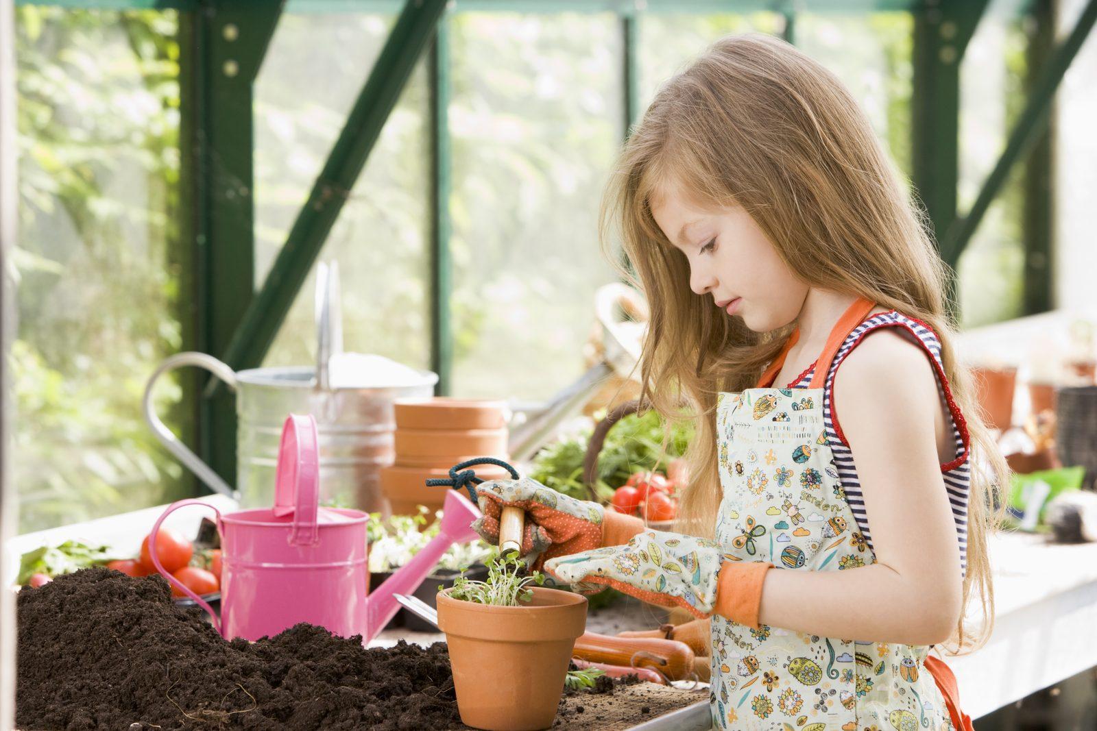 Brisbane Locals Share Home and Garden Tips That Actually Work Daily