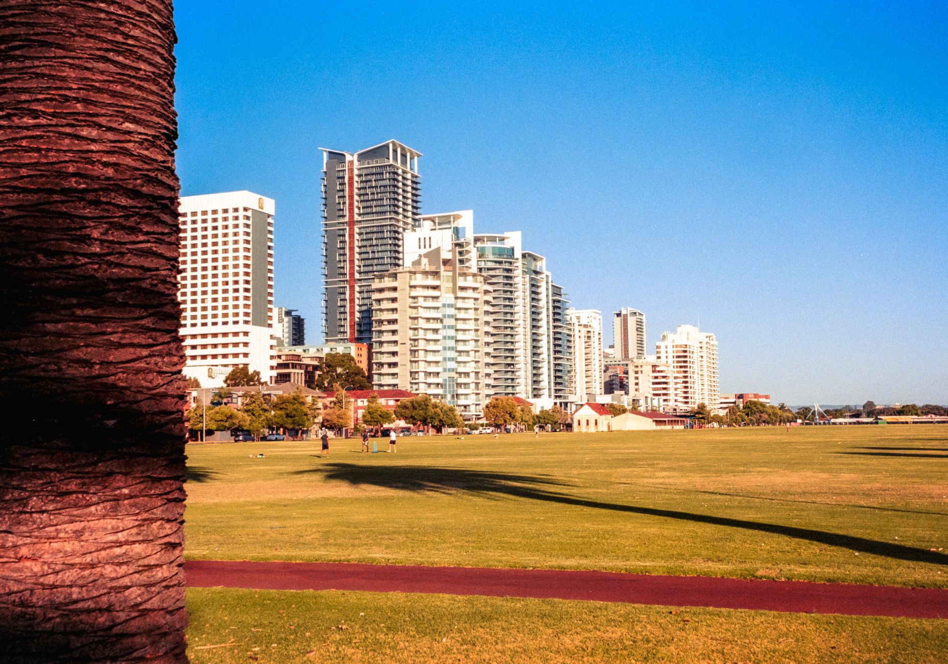 Solar Panels in Brisbane 2026, Installation Costs, Battery Prices, QLD Rebates, and How to Find a Licensed Solar Installer Near You