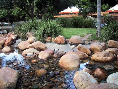 Outdoor Swimming Pools Brisbane: Best Lap Spots